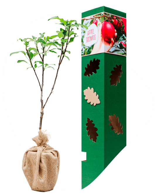 Appelboompje