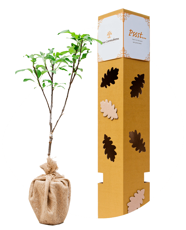 Appel - 25 juni t/m 4 juli, 23 december t/m 1 januari