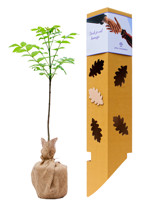 Es - 25 mei t/m 3 juni, 22 november t/m 1 december