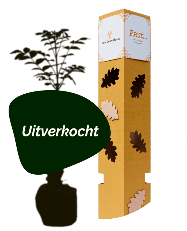 Olijf - 23 september