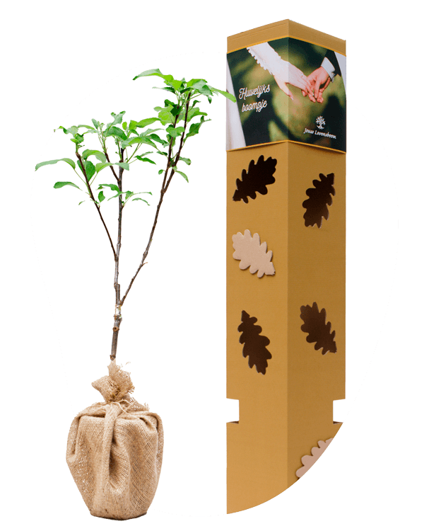 Onze Levensbomen (speciale gebeurtenissen)