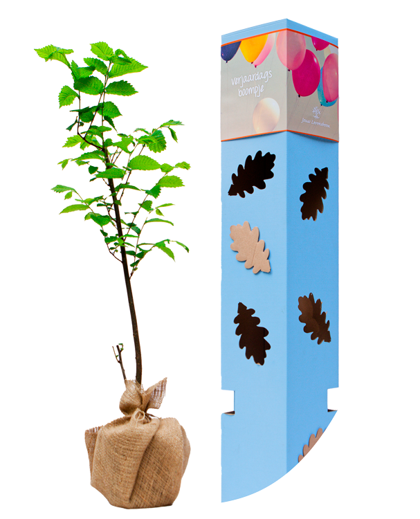 Persoonlijke Levensbomen